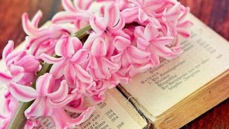 超出約定次數(shù)提出修改意見致成片周期延長，是否構(gòu)成違約？