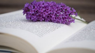 影片未殺青即被迫停止拍攝，導(dǎo)演酬金應(yīng)如何計(jì)算？