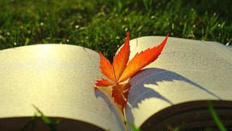 協(xié)議沒寫違約責(zé)任，對方違約怎么辦？