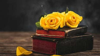 剧本经纪公司“躺平”，编剧能跨过它直接要钱吗？