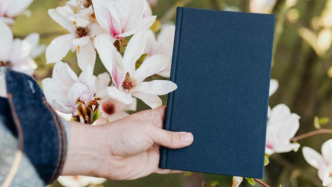 影片宣發(fā)權(quán)的規(guī)則設(shè)計