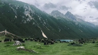 30歲賣(mài)掉房子，在馬尼干戈熱烈地生活，癡迷地寫(xiě)作