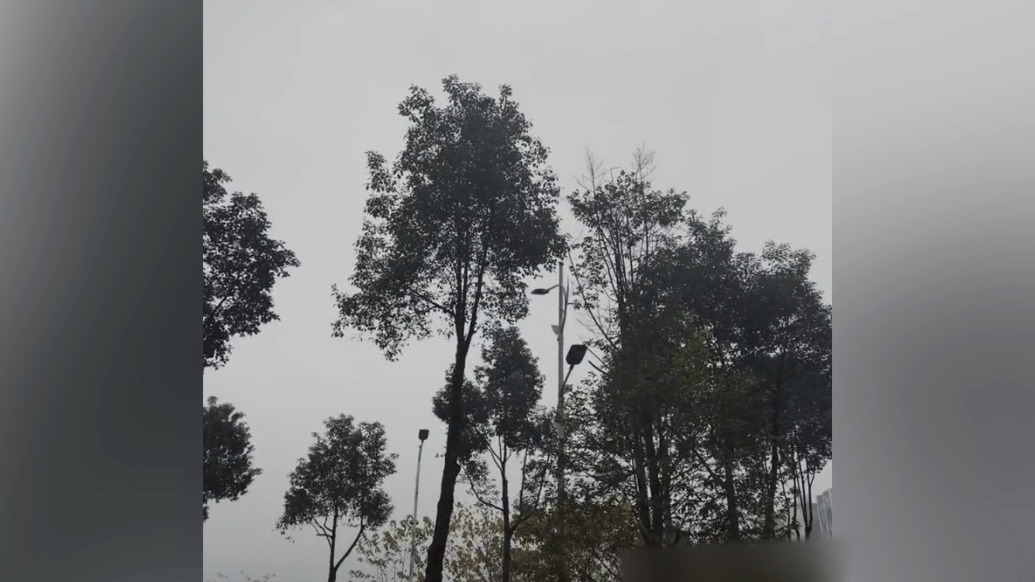 四川雅安回應(yīng)多地不明巨響：無(wú)安全事故報(bào)告，未記錄到天然地震