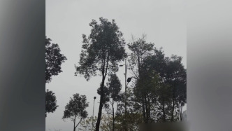 四川雅安回應(yīng)多地不明巨響：無安全事故報告，未記錄到天然地震