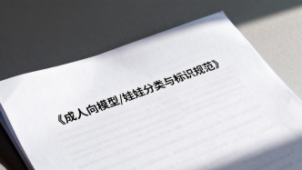 廣東性學會：國內首個成人向模型/娃娃分類標識團體標準立項