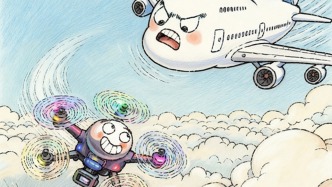 澎湃漫评｜如此“黑飞”让人细思恐极