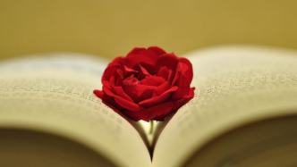 協(xié)議解除性補充協(xié)議的效力是否受“原合同”影響？