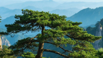 華南師范大學(xué)經(jīng)管學(xué)院原院長(zhǎng)林勇教授逝世，享年65歲