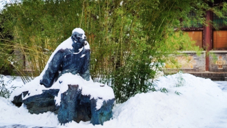 《紅樓夢(mèng)》是“悼明”之作？曹學(xué)會(huì)：把曹雪芹看低了