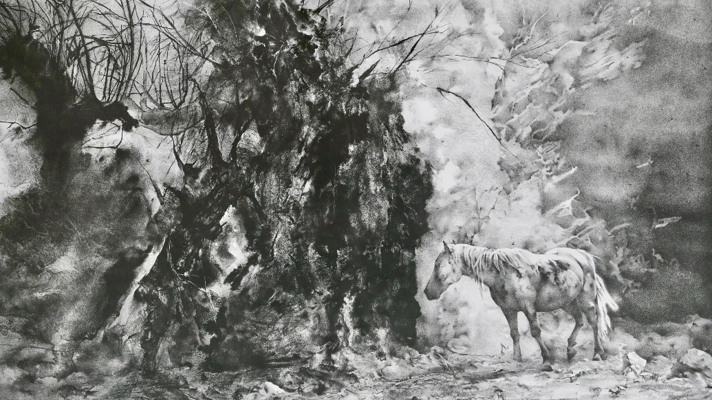 第二屆中國青年版畫雙年展開幕，獲獎作品入藏蘇州美術(shù)館