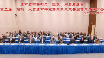 城市文明新形態(tài)：現(xiàn)狀、問題及展望