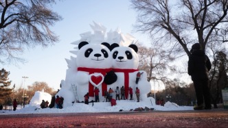 元旦旅游預訂啟動：多個熱門城市酒店訂單同比增3倍，哈爾濱冰雪大世界門票預訂斷層領先