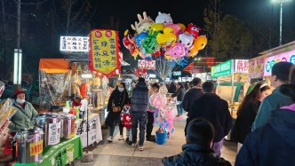 小城，何以生機(jī)勃勃丨湖北天門，歸雁成潮、生生不息