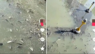 针对“放生”矿泉水、大米等现象，中国佛教协会刊文：深感惊讶和不解