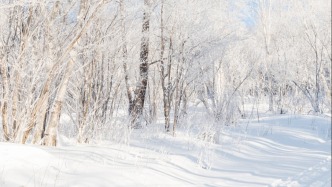 H5丨冬游吉林 拥抱冰雪新生活