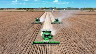 又迎丰收！全年粮食生产实现高位增产