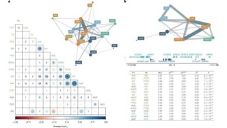 超105萬人！Nature發(fā)布精神疾病遺傳學(xué)領(lǐng)域迄今為止最全面的分析，首次系統(tǒng)性地繪制出14種精神疾病的遺傳共享圖譜