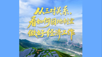 壹視界·任平文章解讀｜從三對關系，看如何因地制宜做好經濟工作
