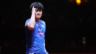 張本智和WTT總決賽奪冠，國(guó)乒首次無(wú)緣男單決賽