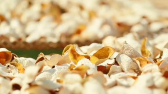 产地造假、年份速成、无视监管！央视曝光新会陈皮市场乱象