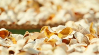 被曝有企业产销“速成工艺陈皮”，广西浦北县成立联合调查组