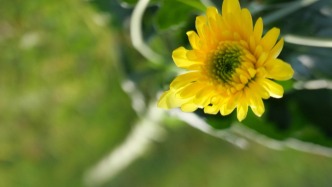 蘇州高博職業(yè)學(xué)院副教授盧春林逝世，終年42歲