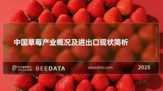 我國草莓產(chǎn)業(yè)有多強？每3顆草莓就有一顆來自中國
