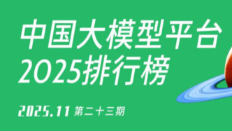 2025中国AI大模型平台排行榜 | 11月