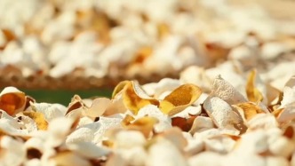 被曝陈皮年份虚标等问题，广东江门新会开展专项查处行动