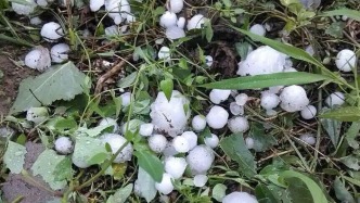 11月各種自然災(zāi)害共造成全國17.23萬人次不同程度受災(zāi)