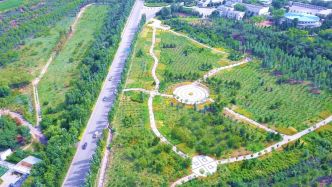 准格尔“一路生花”：黄土高原长出矿山绿洲，生态与经济并进