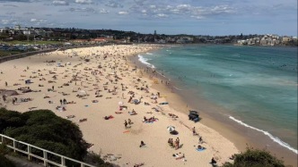 悉尼海滩枪击案致16死，亲历者：距枪手不到200米，逃跑时腿软