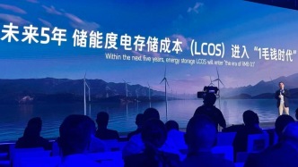 全球儲能電芯亞軍：不靠“內(nèi)卷”，5年內(nèi)儲能度電存儲成本進入“1毛錢時代”