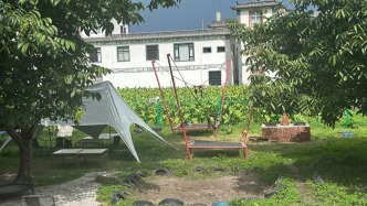 “8岁自闭症男童走失后遇难”涉事机构被罚5万元并吊照，大理当地披露详情