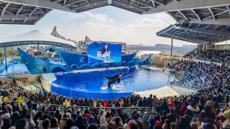 海昌海洋公园：北京项目全面进入工程建设阶段，预计2027年投入运营