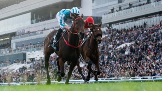 深一度｜賽馬，正在為香港和內(nèi)地搭起一座體育之橋