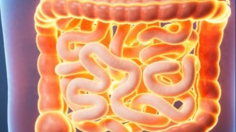 腸白塞禁吃牛羊肉？患者越禁越饞的核心原因