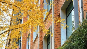 解锁“限时秋景”，打卡落叶浪漫