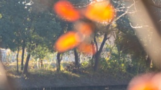 把“向往的生活”，过成江南日常