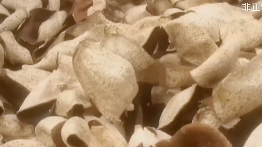 广东新会三部门联合回应“陈皮年份虚标”等问题:对涉事企业采取列入黑名单等措施