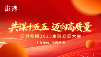 海报集｜2025金融发展大会，银行、保险、基金等机构及学界大咖金句回顾
