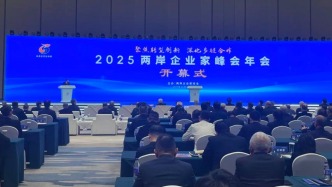 兩岸企業(yè)家峰會(huì)年會(huì)：“十五五”規(guī)劃建議提供了“機(jī)遇清單”