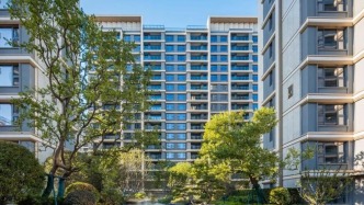 从销售到预看房好评不断，安高申宸院实景品质即将呈现