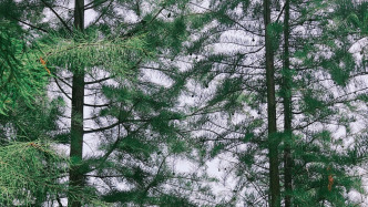 電子科技大學(xué)原副校長(zhǎng)熊彩東教授病逝，享年60歲