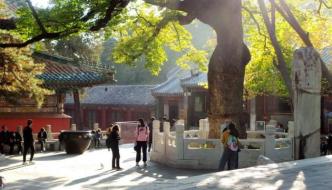 趙世瑜｜將城市擲歸地方：城市史研究的立場