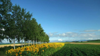 四言模式與李杜的“青白眼”