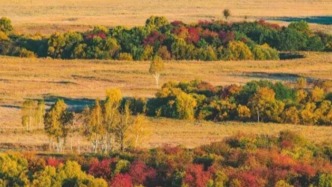 黑龙江大兴安岭松岭区拟增设两个乡镇建制政权组织