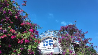 漫步中国大陆最南端，打卡“南极村”珊瑚渔耕