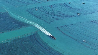 人大法工委：完善涉漁生態(tài)環(huán)境影響評價違法行為的法律責任