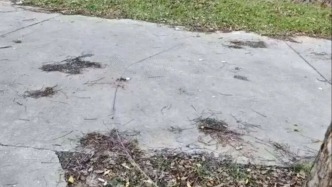 马上评｜骑车遭铁丝割喉身亡，意外背后往往是人祸